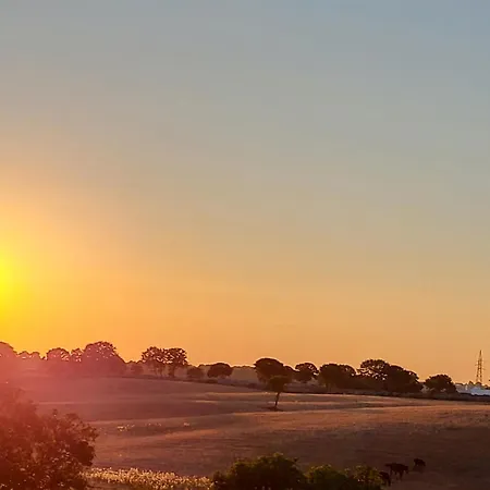 בית חווה Masseria Santolomuto נוצ'י